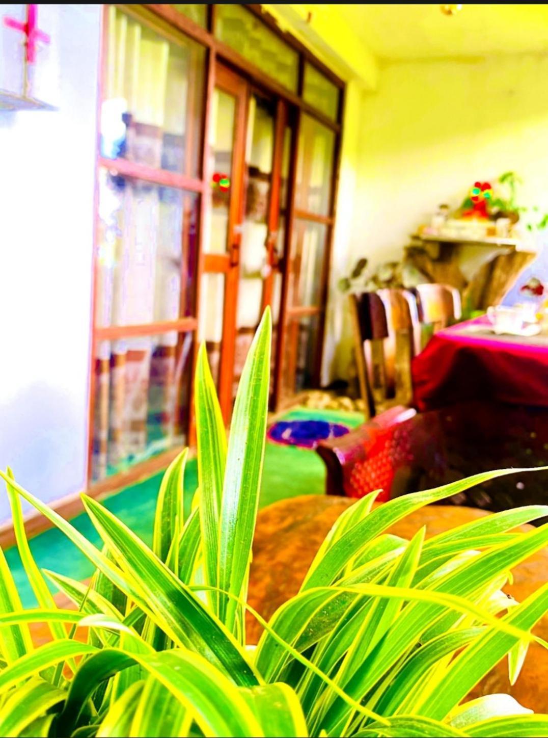 Dream Nest Apartment Ella Ngoại thất bức ảnh