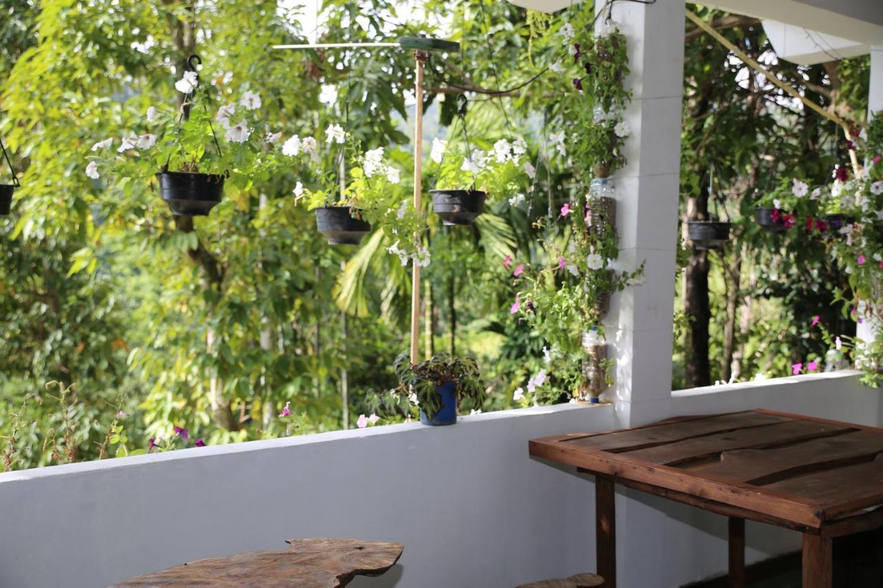Dream Nest Apartment Ella Ngoại thất bức ảnh